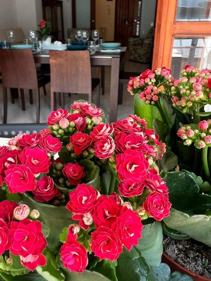 Appartamento A Casa Di Nonna Pescara Esterno foto